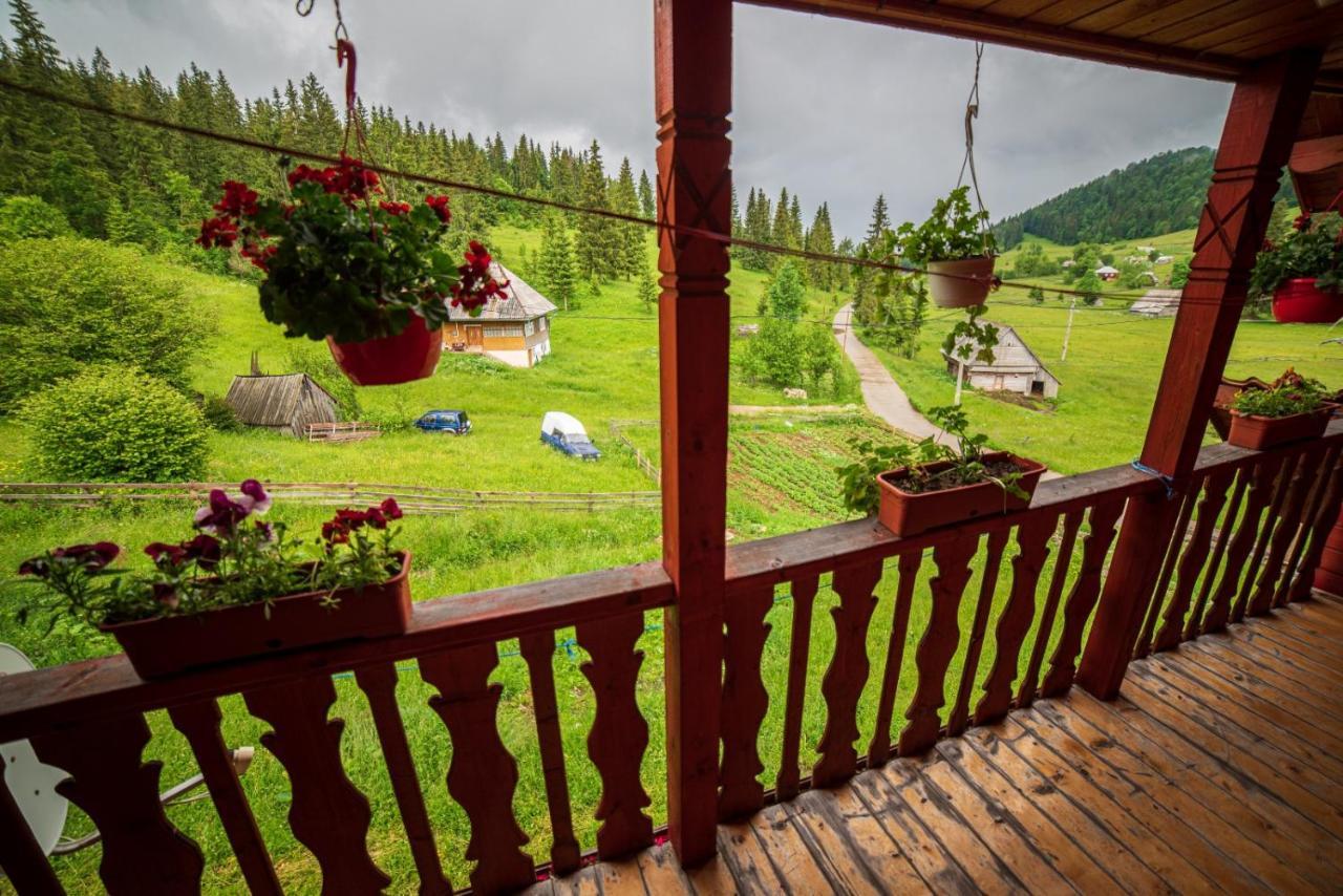 Cabana Cret Ocoale Екстериор снимка